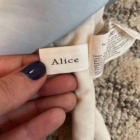 Alice in Wonderland Plush - Picture 6 of 7